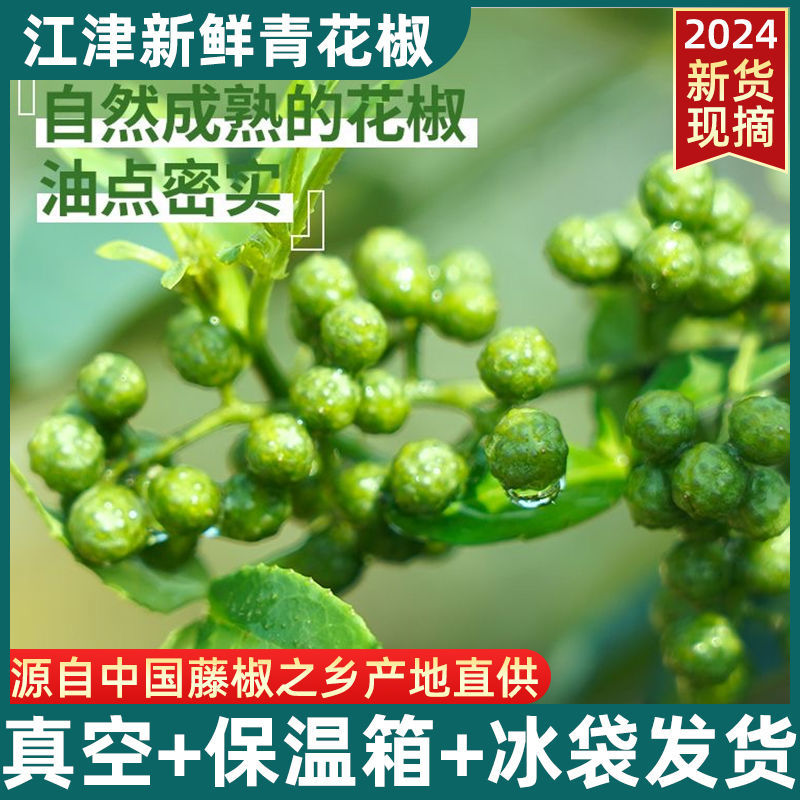 重庆批发商用青花椒藤椒麻椒青花椒鱼调料调味品