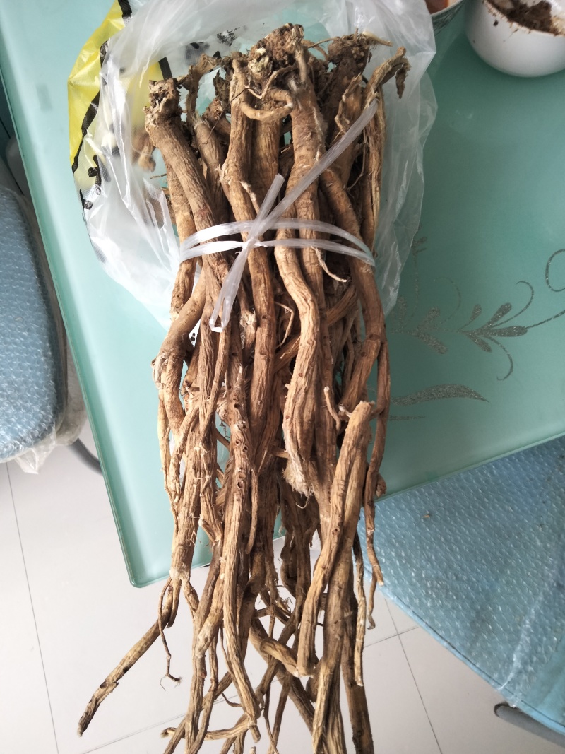 长白山纯野生的黄芪
