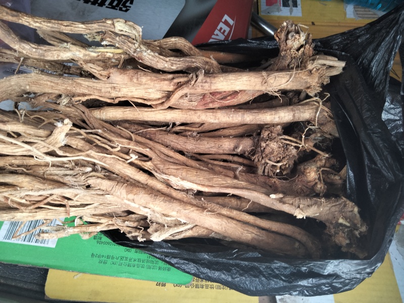 长白山纯野生的黄芪