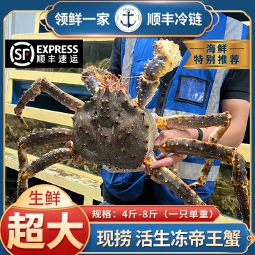 帝王蟹鲜活冷冻海鲜特大3-13斤1只冰鲜皇帝蟹俄罗斯皇帝