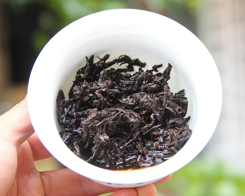 2008年乔木型古茶饼