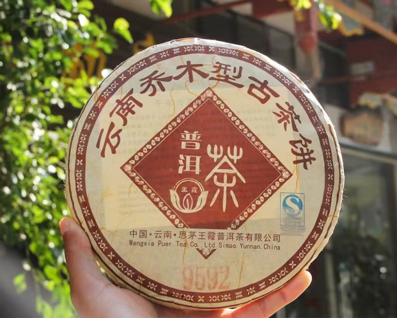2008年乔木型古茶饼