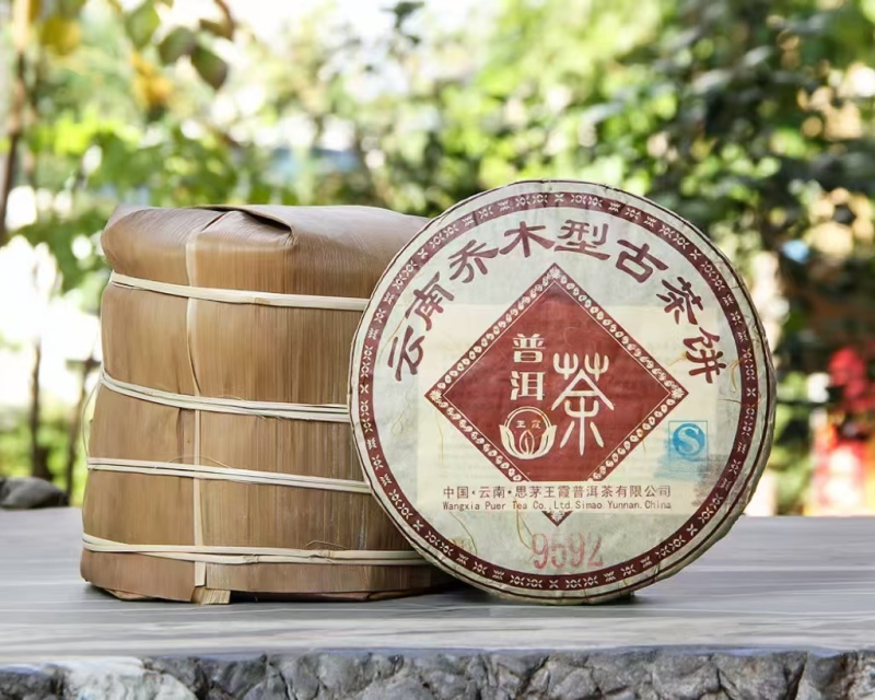 2008年乔木型古茶饼