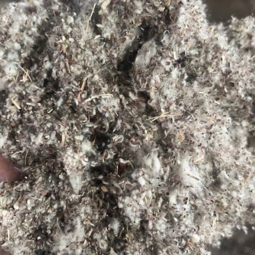棉渣，优质棉渣厂家直销