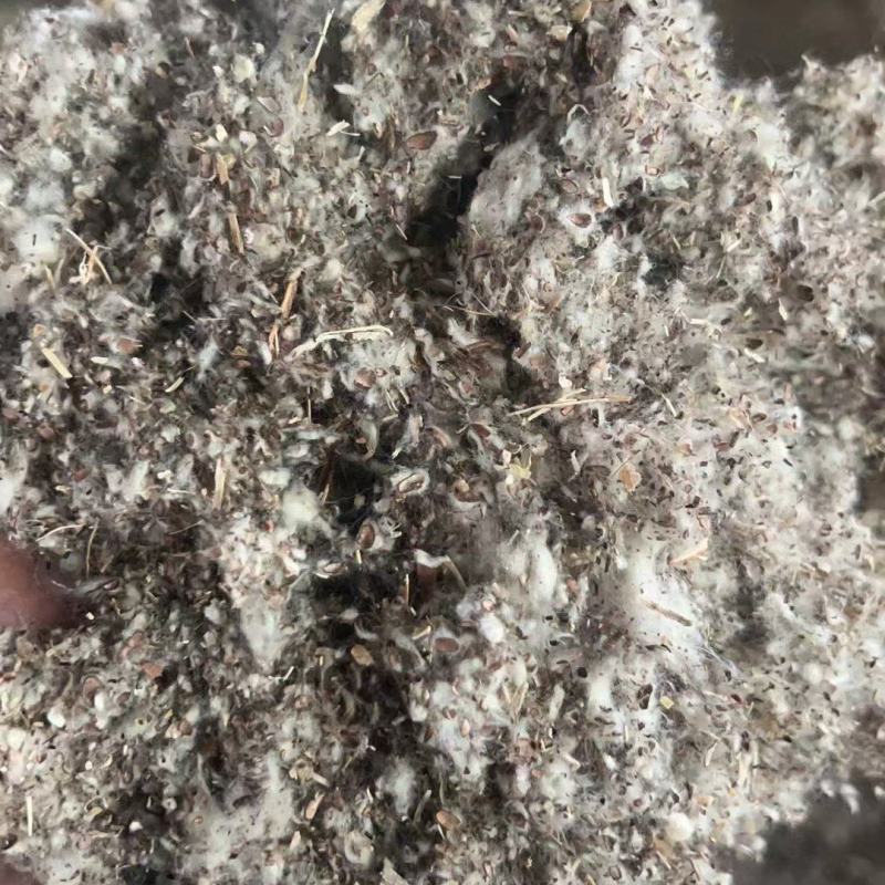 棉渣，优质棉渣厂家直销