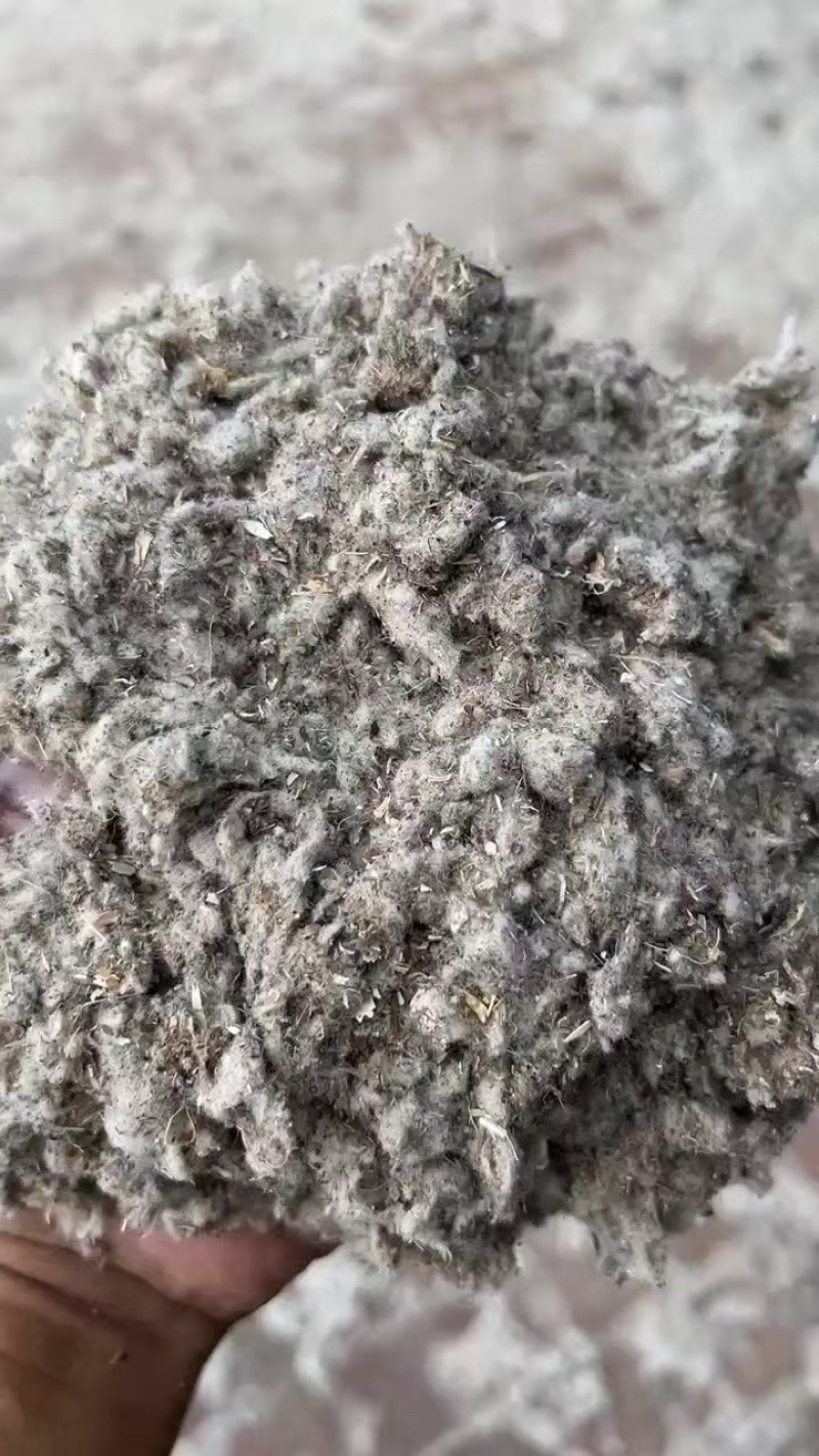棉渣，优质棉渣厂家直销
