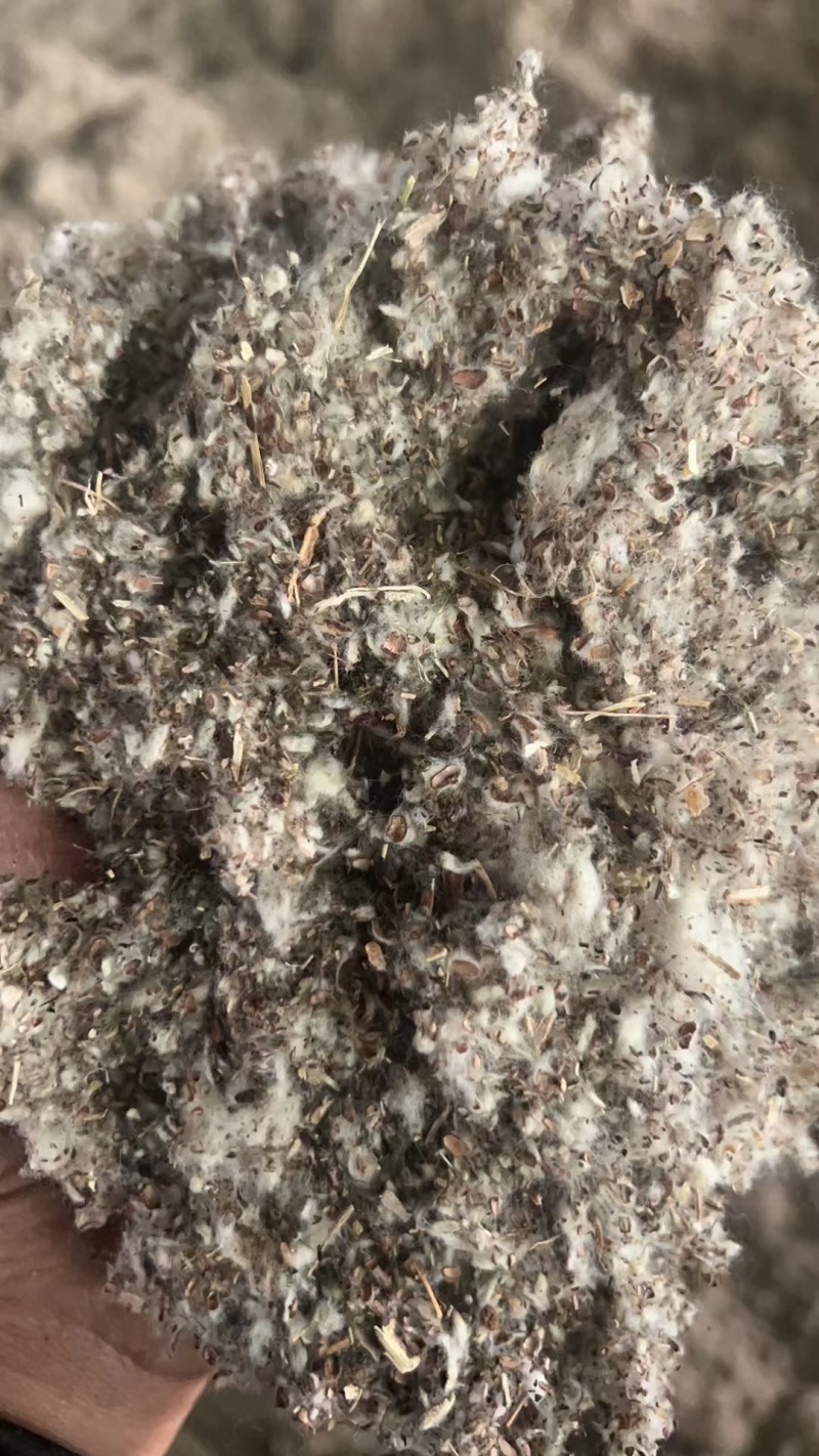 棉渣，优质棉渣厂家直销