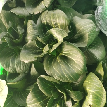 大量精品太湖菜