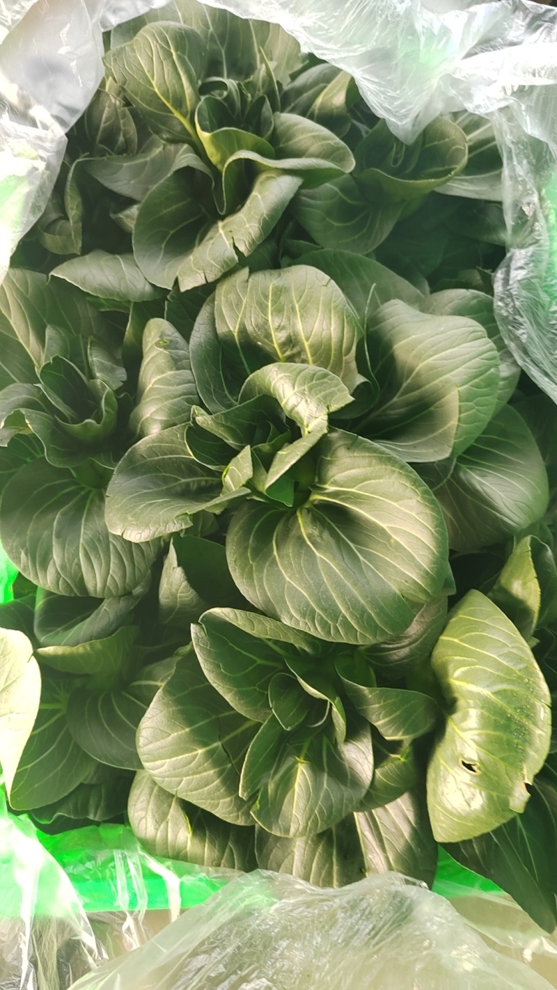 大量精品太湖菜