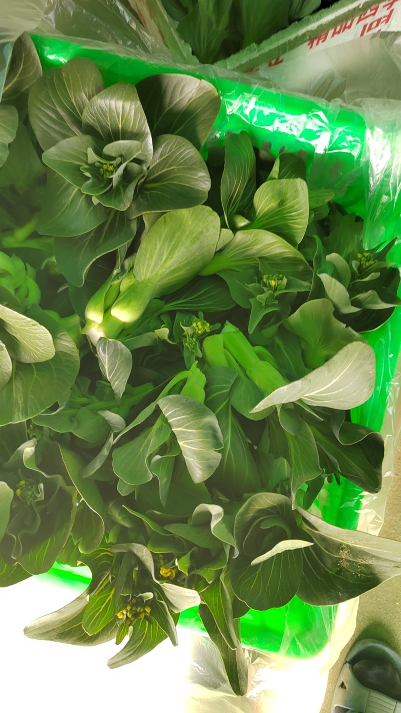 大量精品太湖菜
