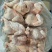 二级肉食鸡