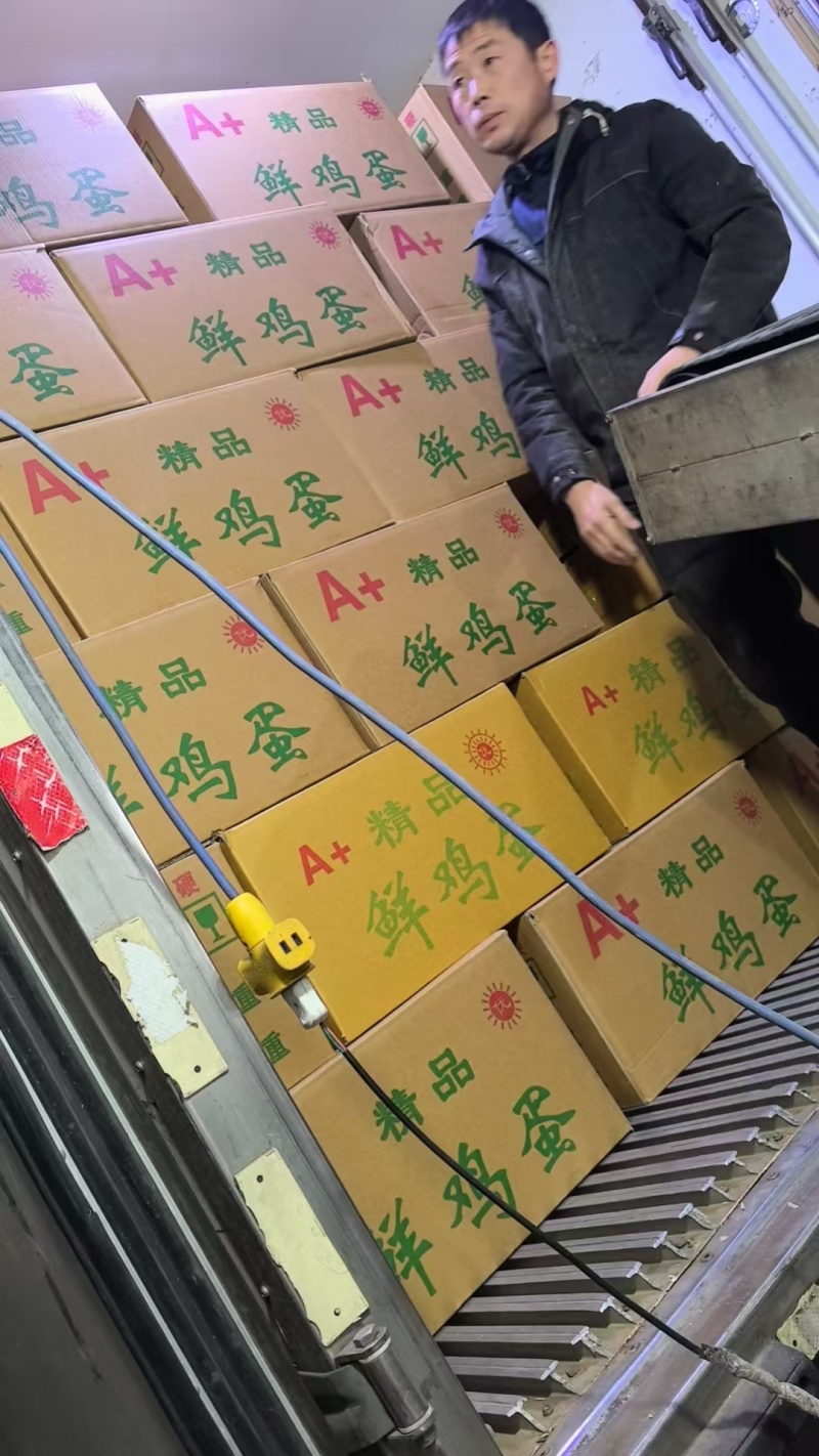 新鲜精品普通粉皮蛋大量现货