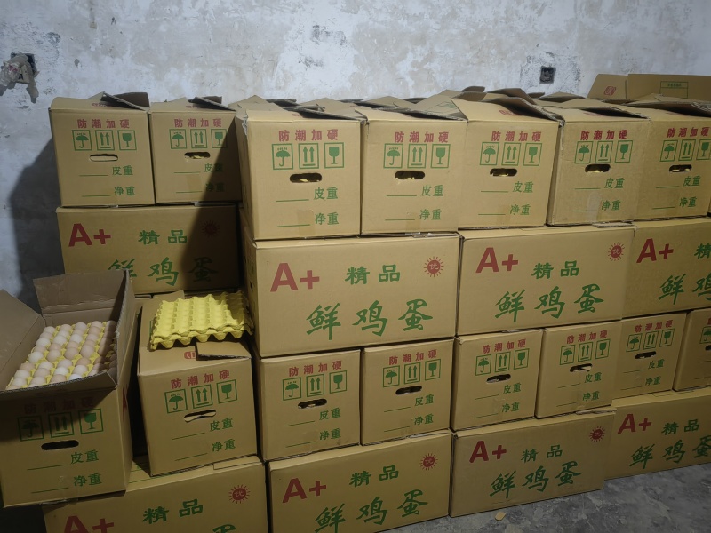 新鲜精品普通粉皮蛋