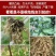 格纳姆线虫净防虫杀线虫卵兼杀消除重插复合菌株独特专用修复
