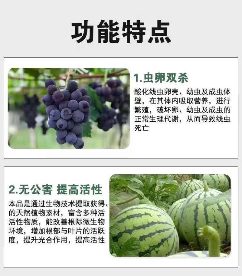 格纳姆线虫净防虫杀线虫卵兼杀消除重插复合菌株独特专用修复