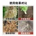 格纳姆线虫净防虫杀线虫卵兼杀消除重插复合菌株独特专用修复
