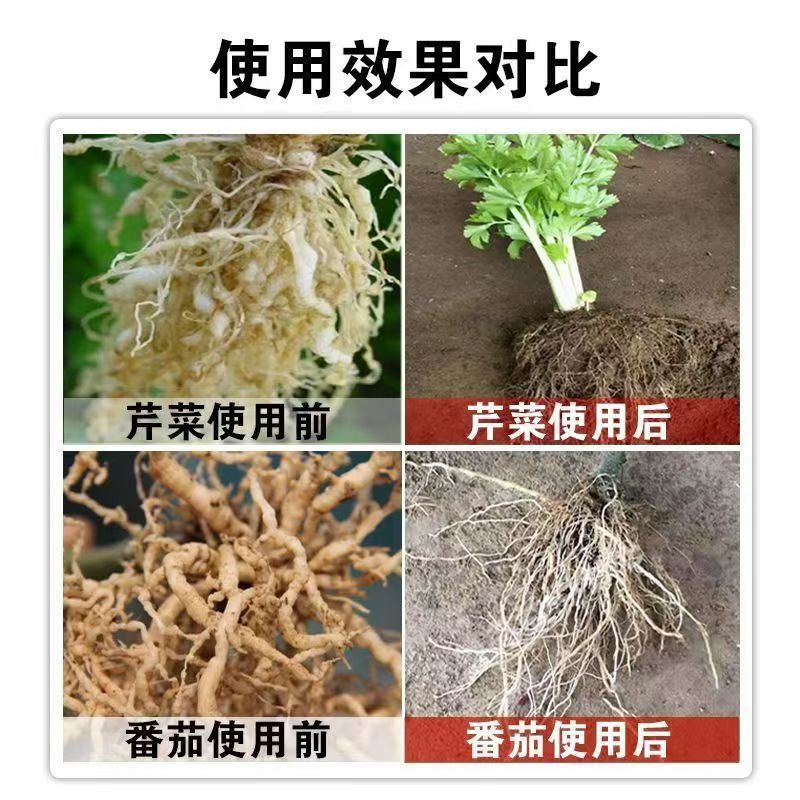 格纳姆线虫净防虫杀线虫卵兼杀消除重插复合菌株独特专用修复