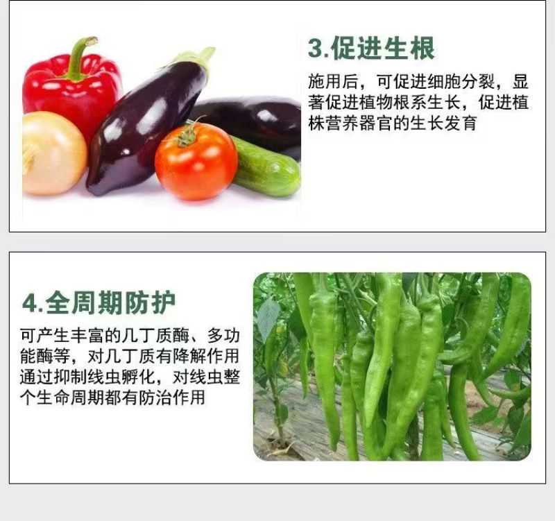格纳姆线虫净防虫杀线虫卵兼杀消除重插复合菌株独特专用修复