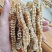 精品地参，选货，都是大白条，条索粗壮