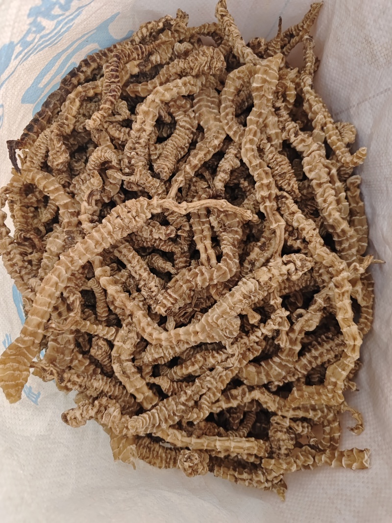 精品地参，选货，都是大白条，条索粗壮