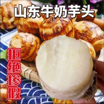 毛芋头8520牛奶芋头软糯香甜《电商市场加工厂》烂坏包赔