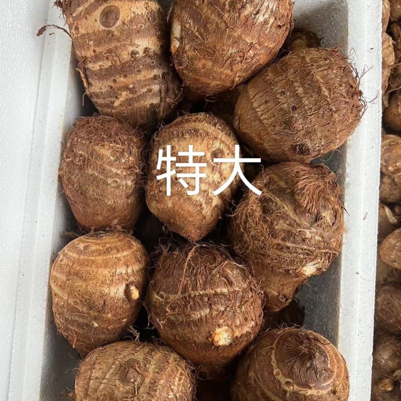 毛芋头8520牛奶芋头软糯香甜《电商市场加工厂》烂坏包赔