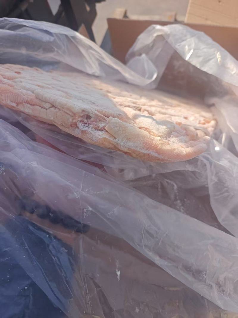山东精品干板切半爪全国发货品质保证大小规格均可订制