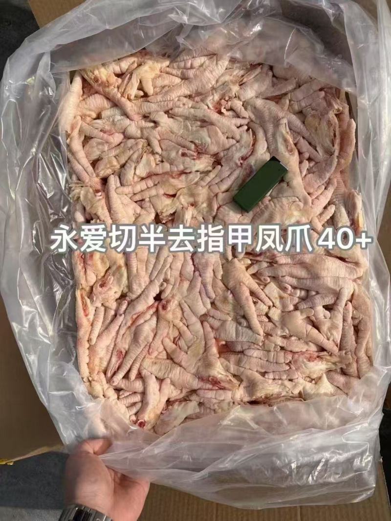 山东精品干板切半爪全国发货品质保证大小规格均可订制