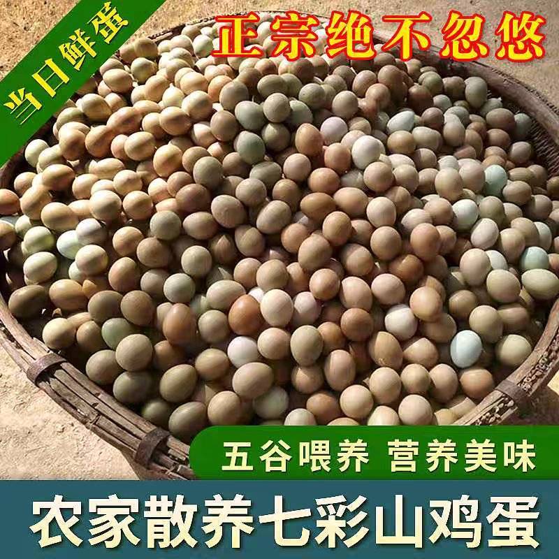 广西鸡蛋七彩山鸡鸡蛋产地直发货源充足欢迎下单