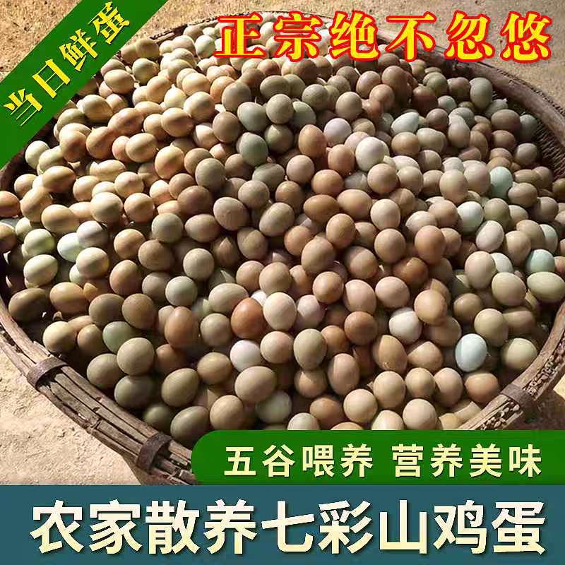 广西鸡蛋七彩山鸡鸡蛋产地直发货源充足欢迎下单