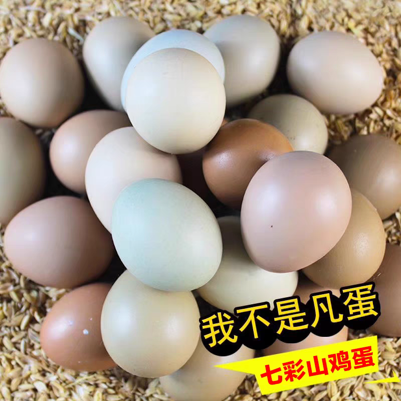 广西鸡蛋七彩山鸡鸡蛋产地直发货源充足欢迎下单