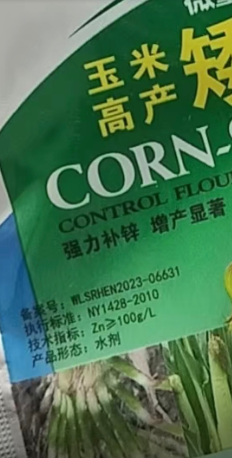 玉米矮壮素7-14片叶展开时喷喇叭口矮化植株
