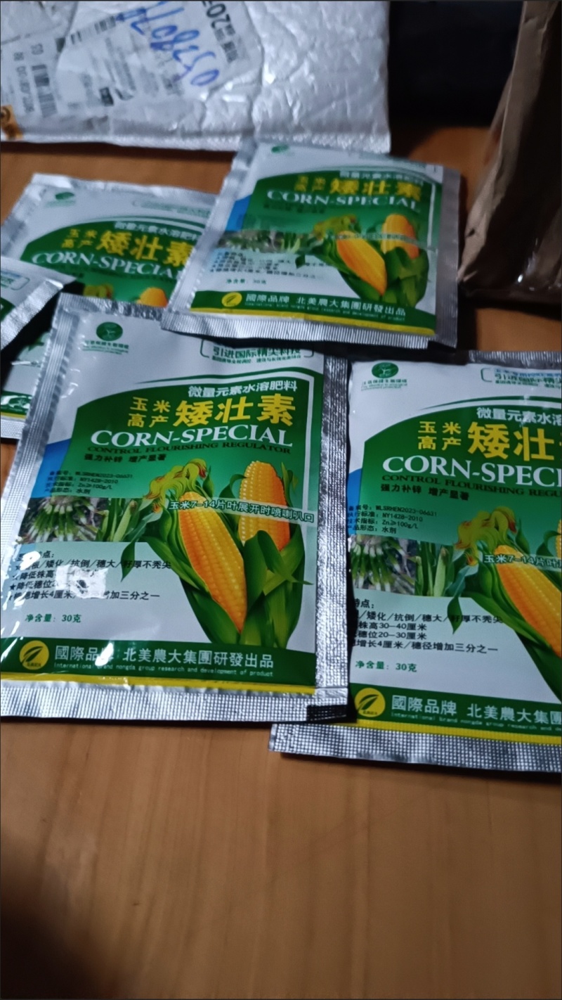 玉米矮壮素7-14片叶展开时喷喇叭口矮化植株