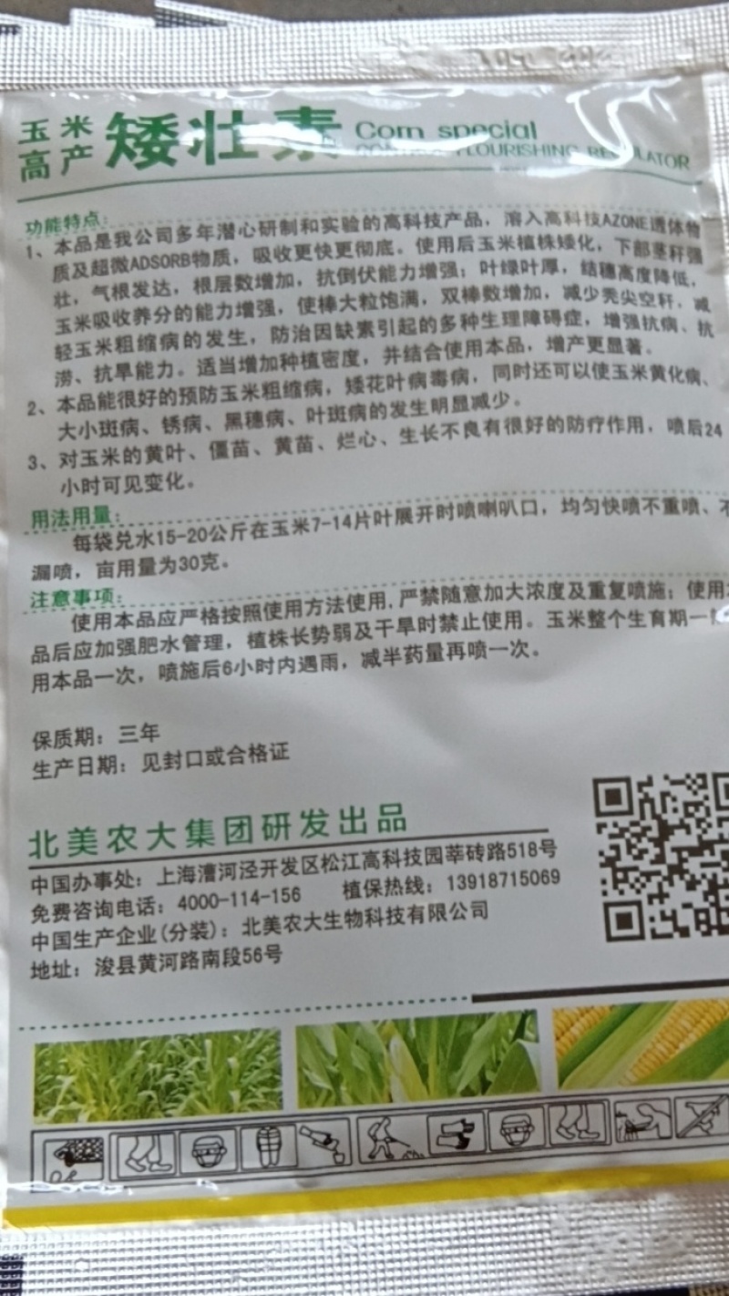 玉米矮壮素7-14片叶展开时喷喇叭口矮化植株