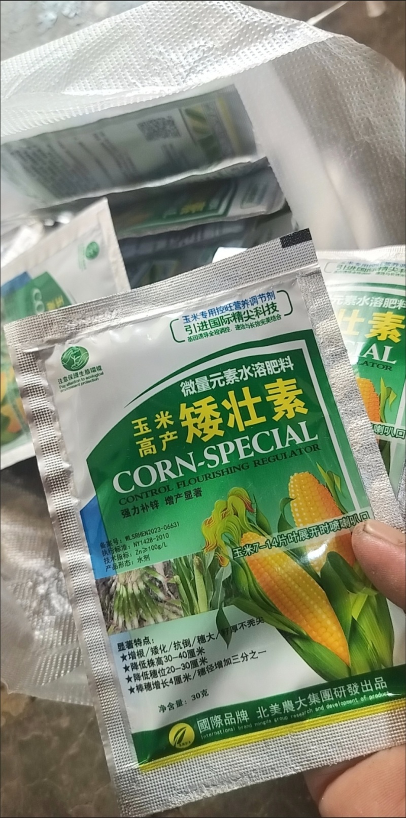 玉米矮壮素7-14片叶展开时喷喇叭口矮化植株