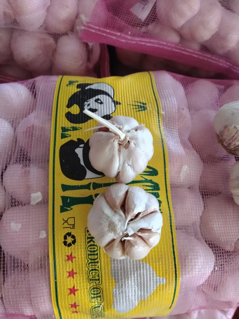 山东聊城产地直发大蒜，代收，代发代售量大质量好需要的老板