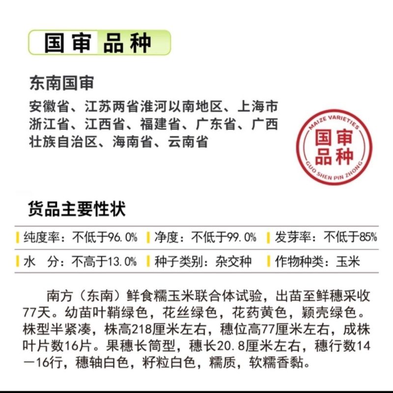申科糯191甜味糯玉米种子大棒春秋播超甜鲜食玉米非转基