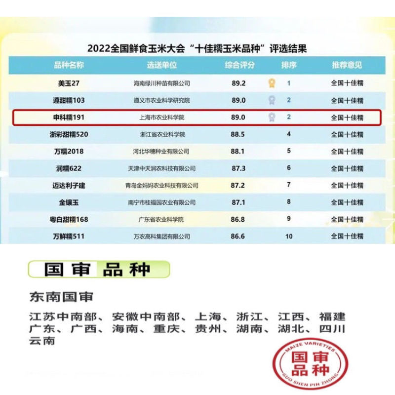 申科糯191甜味糯玉米种子大棒春秋播超甜鲜食玉米非转基
