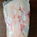 二级大白条鸭