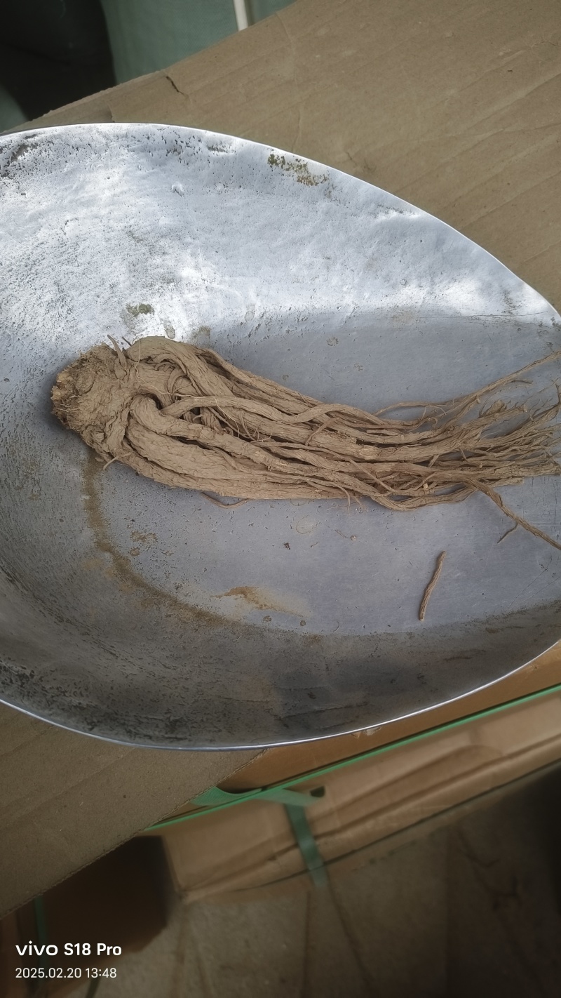 《当归个》甘肃岷县当归个水洗无硫当归个一分价钱一分货