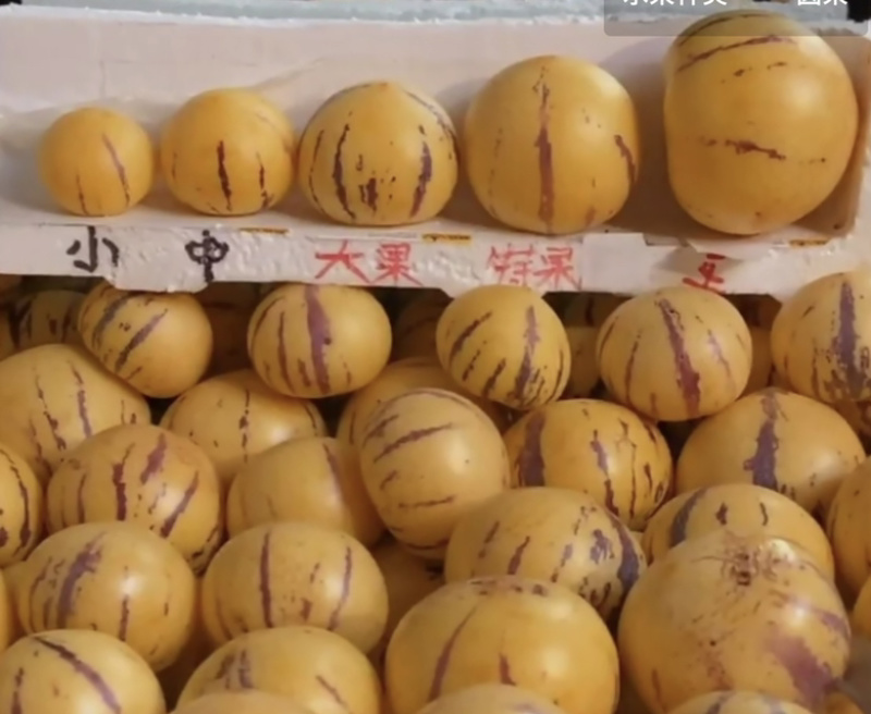 人生果，代办