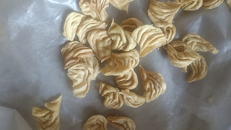 东北大豆耳