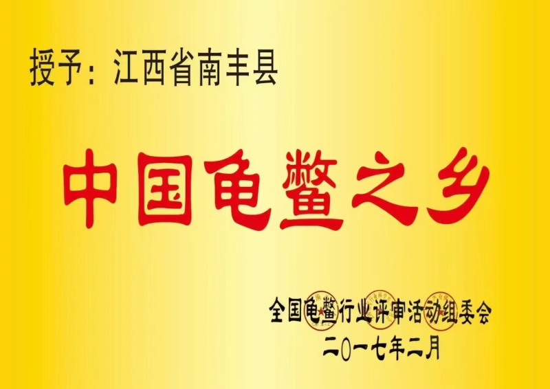 冻品甲鱼宰杀甲鱼整只0.5-2斤规格齐全