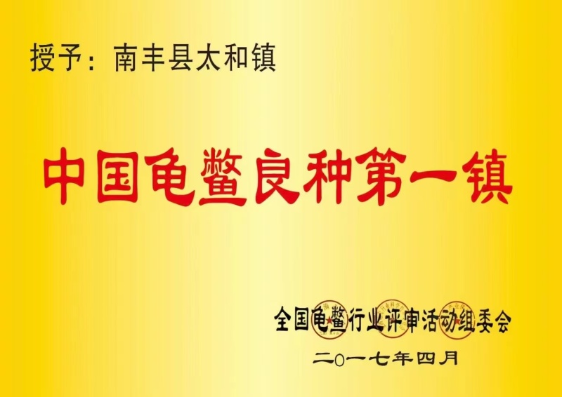 冻品甲鱼宰杀甲鱼整只0.5-2斤规格齐全