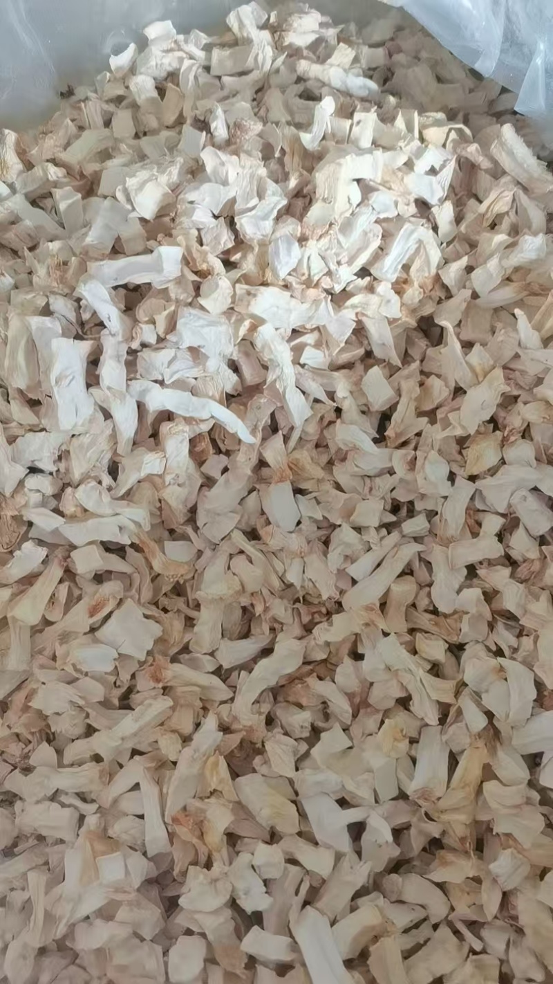 杏苞菇干片