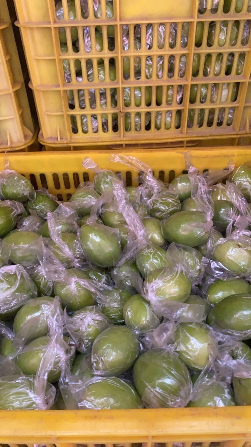 广西平南牛奶枣，青枣1月底上市产地直供，代收代发欢迎咨询