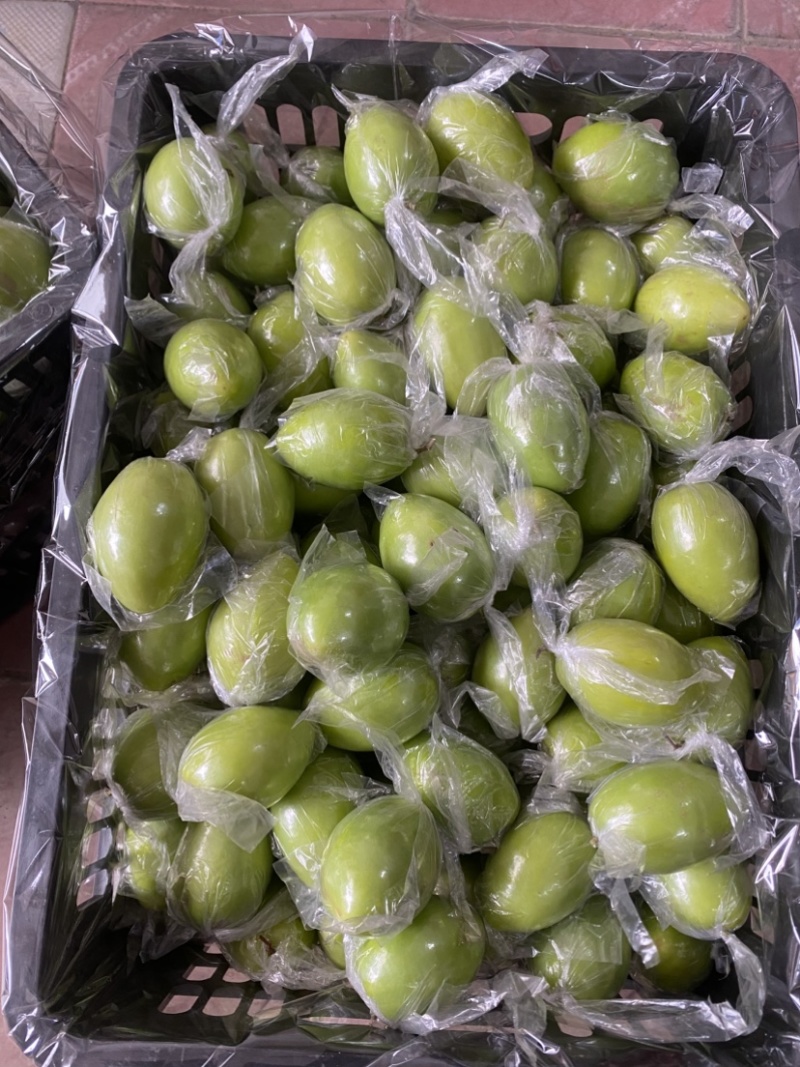 广西平南牛奶枣，青枣1月底上市产地直供，代收代发欢迎咨询