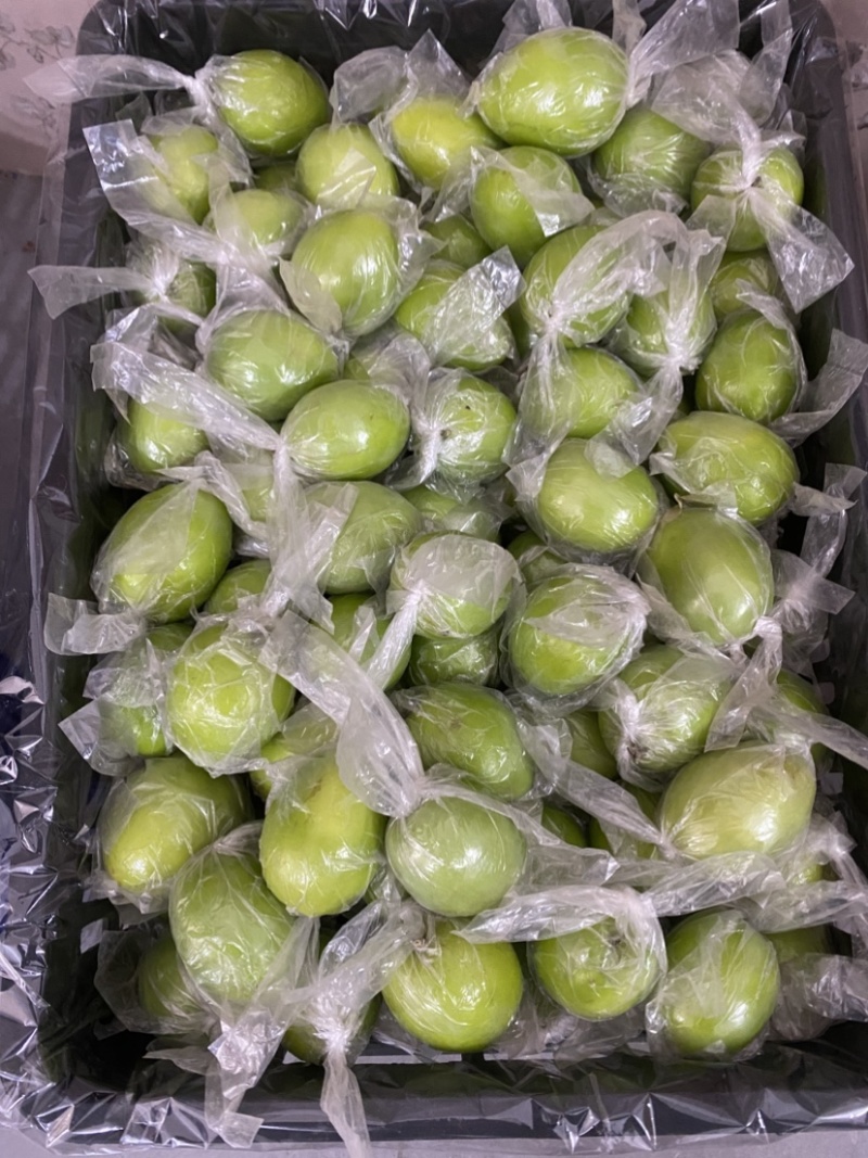 广西平南牛奶枣，青枣1月底上市产地直供，代收代发欢迎咨询