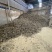 棉籽饼菜籽饼上地专用厂家直销无套路质量保证