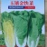 玉镶金快菜种籽